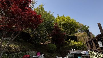 夏休み!まだまだ良いお日にちございます〜^_^