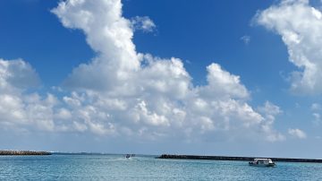 今年もありがとうございました!!