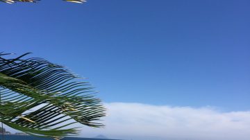 2026年GWのご予約について